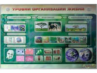 Электрифицированный стенд "Уровни организации жизни" - fgospostavki.ru - Верхняя Пышма