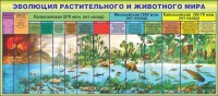 Стенд "Эволюция растительного и животного мира" - fgospostavki.ru - Верхняя Пышма