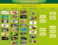 Стенд "Систематика животных" - fgospostavki.ru - Верхняя Пышма