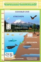 Стенд "Строение биосферы" - fgospostavki.ru - Верхняя Пышма