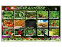 Комплект оборудования "Живой уголок" (растения) - fgospostavki.ru - Верхняя Пышма