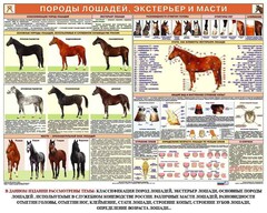 Комплект плакатов "Служебное коневодство" - fgospostavki.ru - Верхняя Пышма