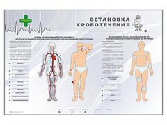 Электрифицированный стенд "Остановка кровотечения" - fgospostavki.ru - Верхняя Пышма