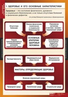 Комплект таблиц. ОБЖ. Здоровый образ жизни. - fgospostavki.ru - Верхняя Пышма
