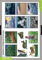 Комплект таблиц. Окружающий мир. Летние и осенние изменения в природе. - fgospostavki.ru - Верхняя Пышма