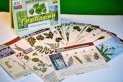 Гербарий к курсу основ общей биологии - fgospostavki.ru - Верхняя Пышма