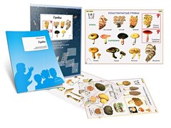 Комплект кодотранспарантов "Грибы" - fgospostavki.ru - Верхняя Пышма