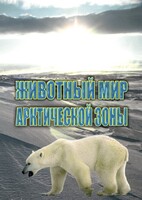 DVD "Животный мир Арктической зоны" - fgospostavki.ru - Верхняя Пышма