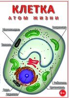 DVD "Клетка - "атом жизни" - fgospostavki.ru - Верхняя Пышма