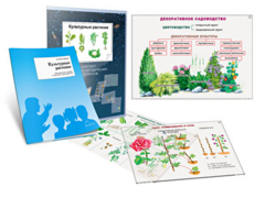 Комплект кодотранспарантов "Культурные растения" - fgospostavki.ru - Верхняя Пышма