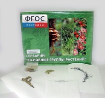 Гербарий "Основные группы растений" (52 листа) - fgospostavki.ru - Верхняя Пышма