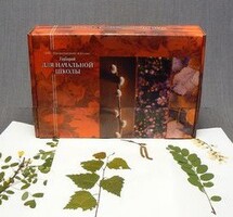 Гербарий для Начальной школы (28 видов) - fgospostavki.ru - Верхняя Пышма