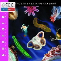 Биология. Микрофотографии. (Цифровая база изображений) - fgospostavki.ru - Верхняя Пышма