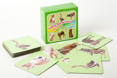 Набор магнитных карточек "Устный счет" (фон зеленый) - fgospostavki.ru - Верхняя Пышма