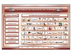 Трехсекционный базовый комплект "Травмы. Кровотечения. Ожоги" для учащихся общеобразовательных учреждений - fgospostavki.ru - Верхняя Пышма