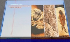 Коллекция "Палеонтологическая" (16 образцов) - fgospostavki.ru - Верхняя Пышма