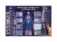 Электрифицированный стенд "Вредные привычки: наркомания" - fgospostavki.ru - Верхняя Пышма