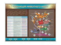 Интерактивный электрифицированный стенд "Эволюция животного мира" - fgospostavki.ru - Верхняя Пышма