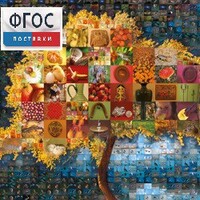 Начальная школа. Иностранный язык. (Цифровая база изображений) - fgospostavki.ru - Верхняя Пышма