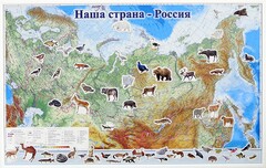 Магнитные карточки "Животные" - fgospostavki.ru - Верхняя Пышма