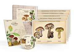 Комбинированное наглядное пособие  «Грибы» - fgospostavki.ru - Верхняя Пышма