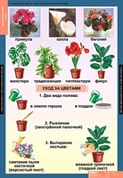 Комплект таблиц. Окружающий мир 1 класс. - fgospostavki.ru - Верхняя Пышма