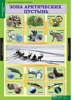 Комплект таблиц. Окружающий мир 4 класс. - fgospostavki.ru - Верхняя Пышма