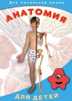 DVD "Анатомия для детей" - fgospostavki.ru - Верхняя Пышма