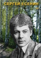 DVD "Сергей Есенин" - fgospostavki.ru - Верхняя Пышма