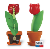 Модель цветка - fgospostavki.ru - Верхняя Пышма