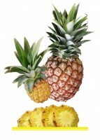 Комплект карточек "Запоминай, играй, считай" - Фрукты - fgospostavki.ru - Верхняя Пышма