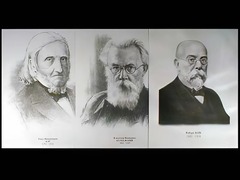 Портреты биологов (26 штук, формат А3) - fgospostavki.ru - Верхняя Пышма