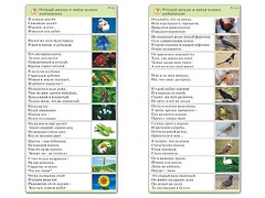 Комплект карточек (10) "Обучающий калейдоскоп. Природа" - fgospostavki.ru - Верхняя Пышма