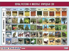 Таблица демонстрационная "Почвы, растения и животные природных зон" (винил 100*140) - fgospostavki.ru - Верхняя Пышма