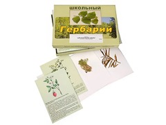 Гербарий "Для начальной школы" (30 видов, с иллюстрациями) - fgospostavki.ru - Верхняя Пышма