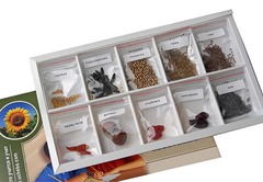 Коллекция "Плоды сельскохозяйственных растений" - fgospostavki.ru - Верхняя Пышма