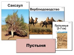 Модель-аппликация "Природные зоны России" (ламинированная) - fgospostavki.ru - Верхняя Пышма