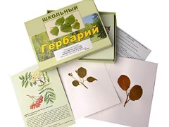 Гербарий "Систематика растений. Семейство Розоцветные" (раздаточный) - fgospostavki.ru - Верхняя Пышма