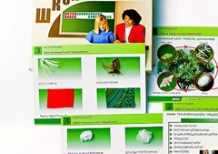 Коллекция "Шелк и продукты его переработки" (средняя школа) - fgospostavki.ru - Верхняя Пышма