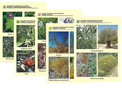 Гербарий фотографический по географии - fgospostavki.ru - Верхняя Пышма