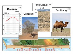 Модель-аппликация "Природные зоны" - fgospostavki.ru - Верхняя Пышма