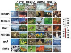 Фенологические наблюдения - fgospostavki.ru - Верхняя Пышма