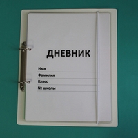 Дневник школьника (с полным набором карточек) - fgospostavki.ru - Верхняя Пышма