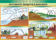 Таблица "Круговорот веществ в биосфере" (100х140 сантиметров, винил) - fgospostavki.ru - Верхняя Пышма