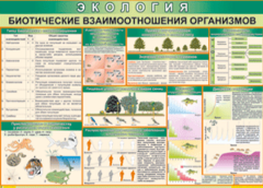 Таблица "Биотические взаимоотношения организмов" (100х140 сантиметров, винил) - fgospostavki.ru - Верхняя Пышма