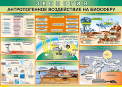 Таблица "Антропогенное воздействие на биосферу" (100х140 сантиметров, винил) - fgospostavki.ru - Верхняя Пышма