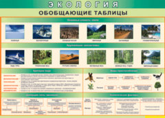 Таблица "Экология. Обобщающие таблицы" (100х140 сантиметров, винил) - fgospostavki.ru - Верхняя Пышма