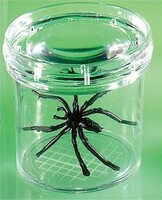 Баночка для изучения насекомых GeoSafari - fgospostavki.ru - Верхняя Пышма