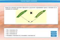 Интерактивные курсы. Биология 11 класс. Базовый. - fgospostavki.ru - Верхняя Пышма