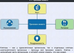 Интерактивные курсы. Биология 5 класс. Базовый - fgospostavki.ru - Верхняя Пышма